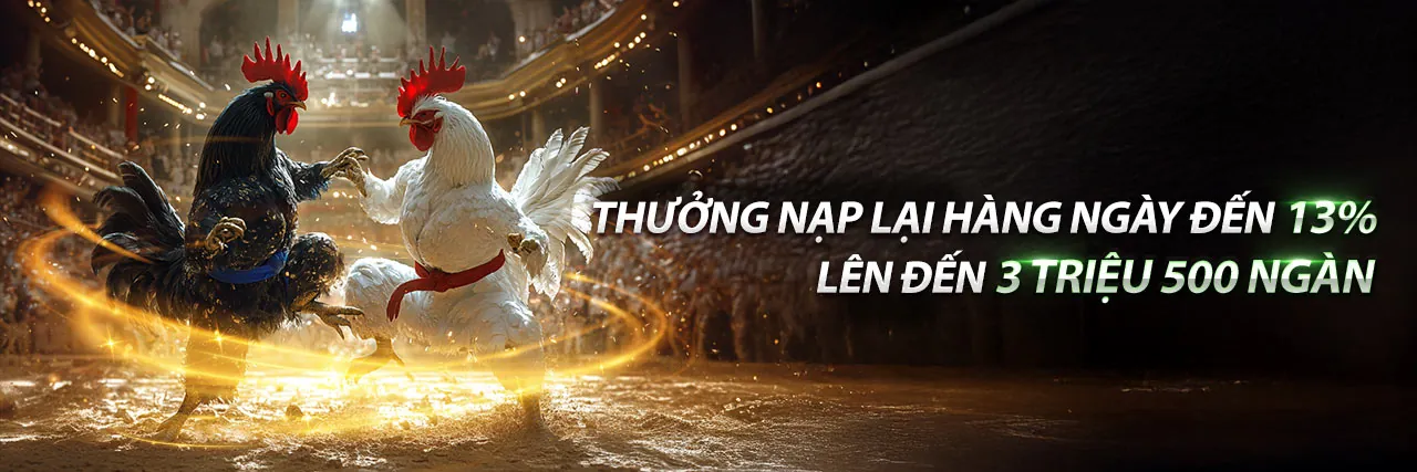 Đá Gà Tonhon Trực Tiếp P888